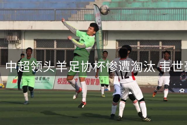 中超领头羊足协杯惨遭淘汰 韦世豪情绪失控暴露蓉城深层危机