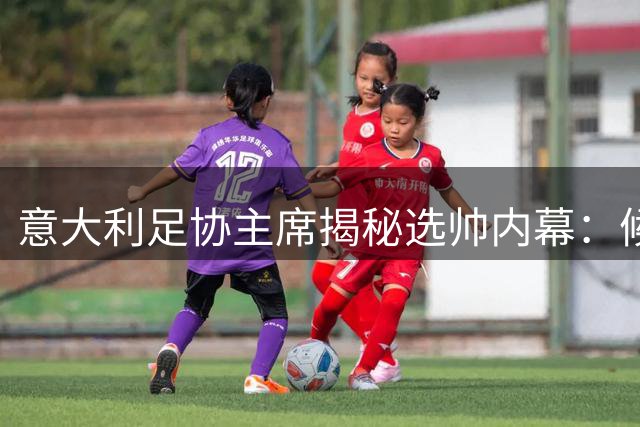 意大利足协主席揭秘选帅内幕：候选人不止两位 决策需多方共识