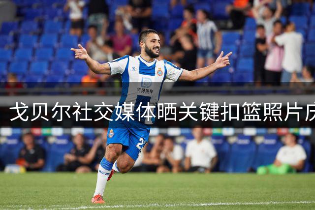 戈贝尔社交媒体晒关键扣篮照片庆祝法国队险胜